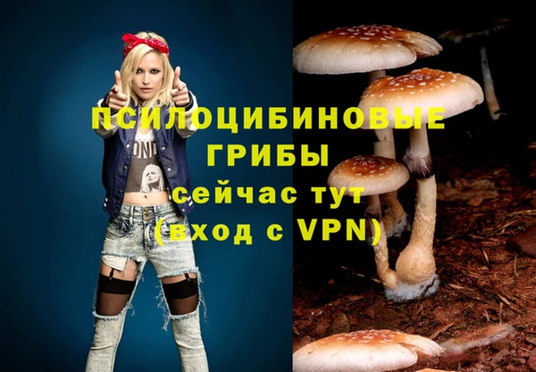 метамфетамин Каменка