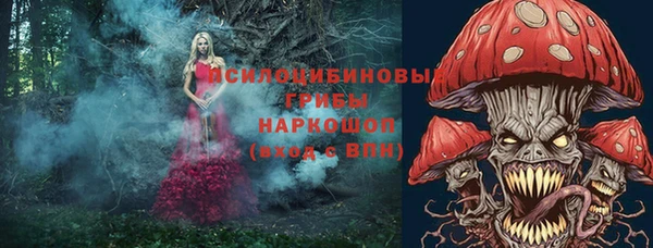 синтетический гашиш Каменногорск