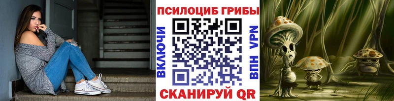 Купить где  Поворино  Галлюциногенные грибы MAGIC MUSHROOMS 